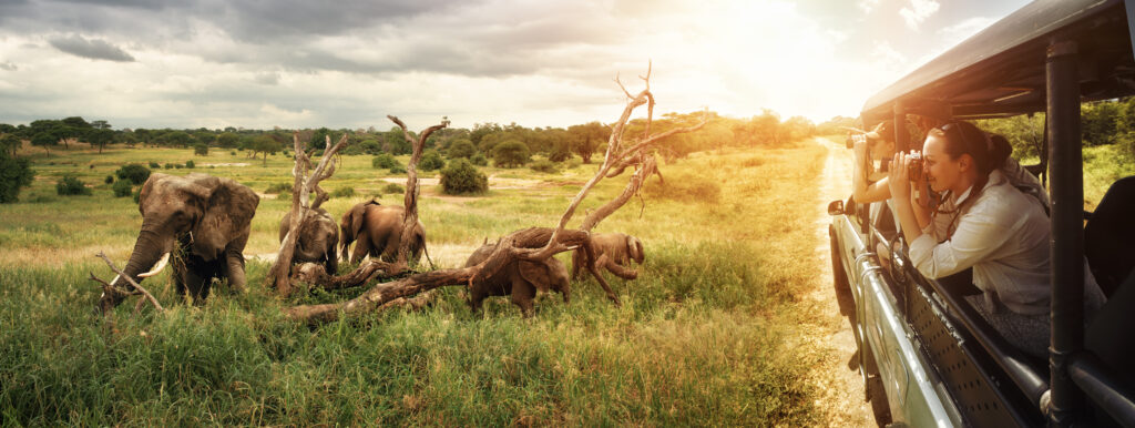 Luksusowe safari w Afryce