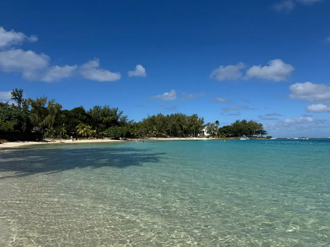Płytka turkusowa laguna i plaża z palmami na Mauritiusie, kierunek podróży w wakacje szkolne